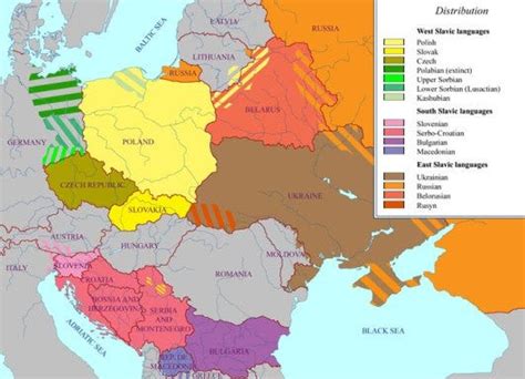 Similarities And Differences Between The Slavic Languages By Steve Kaufmann Lingq Medium