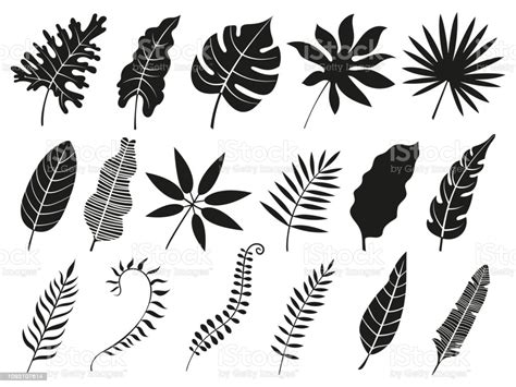 Scegli tra immagini premium su palm leaf silhouette della migliore qualità. Palm Leaf Silhouette Monstera Frond Plant Leaves ...
