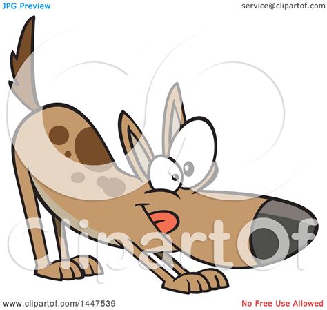 Clipart Of A Cartoon Puppy Stretching In A Downward Dog