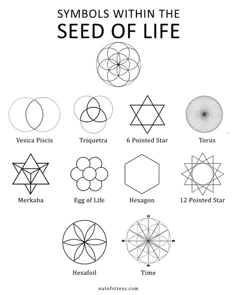 Seed Of Life Symbolism 11 Hidden Meanings Sacred Geometry