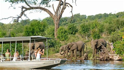 Safari Cruise On Chobe River Abercrombie And Kent