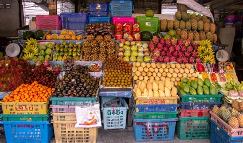 Southeast Asian Healthy Fruits True Wind Healing Travel