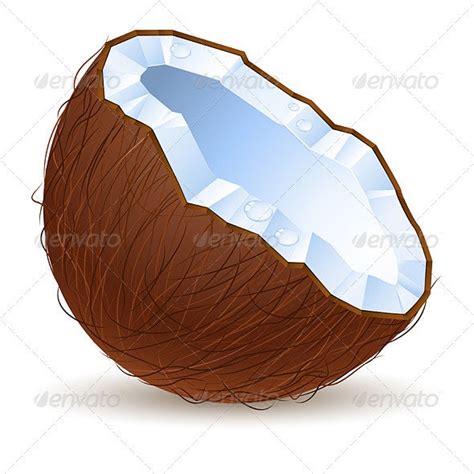 Half A Coconut By Dvarg Graphicriver