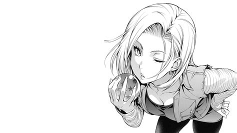 Wallpaper Dragon Ball Z Dragon Ball Android 18 Anime Girls Simple Background 2560x1440
