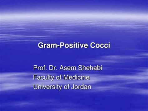 Ppt Gram Positive Cocci Powerpoint Presentation Free Download Id