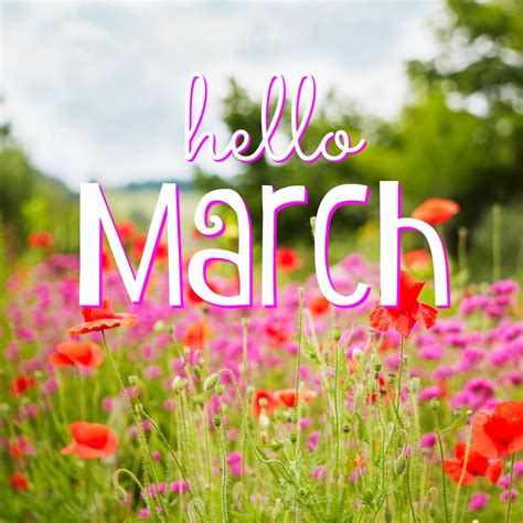 Happy March! The start of this month makes us even more excited for