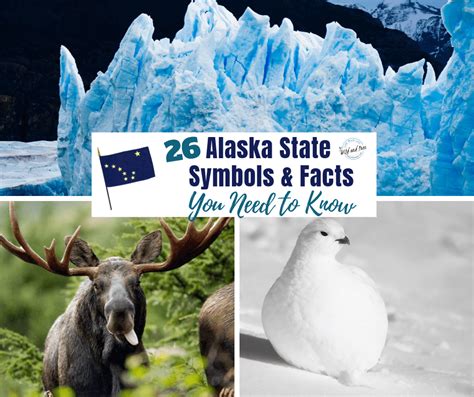 26 Alaska State Symbols And Facts You Need To Know