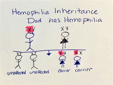 How Common Is Hemophilia In Dogs