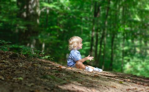 Side View Photo Of Boy Sitting On The Ground Alone In The Forest · Free