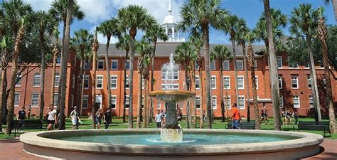 University Of Florida The Best Place To Acquire A Degree Heatfeed