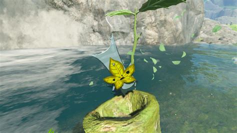 What Happens When You Find All Korok Seeds Totk Answered