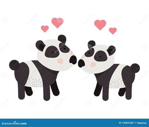 Cute Couple Pandas With Hearts Stock Vector Illustration Of Beautiful