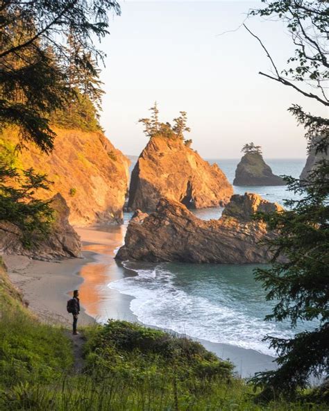 Best Southern Oregon Coast Hikes Chin Willey