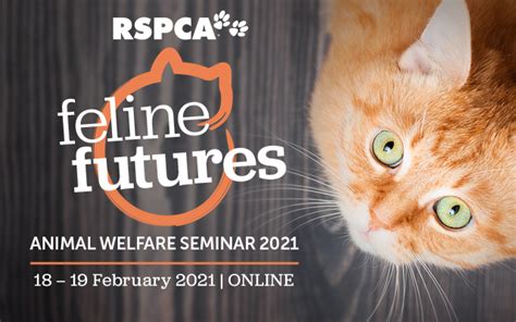 Animal Welfare Seminar 2021 Rspca Australia