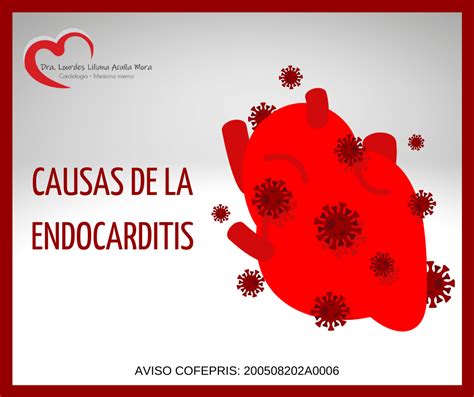 Endocarditis Y Sus Causas Es Una Infección De La Capa Interior Del Corazón Que En General