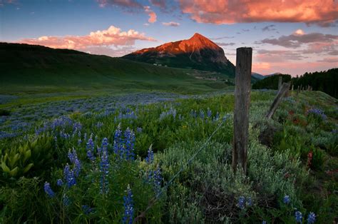 6 Best Places To Find Wildflowers In Colorado Crested Butte Crested