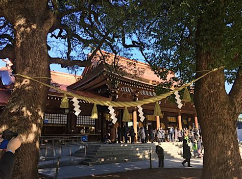 Meiji Jingu Shrine｜a Visit To Shibuyas Oasis With A Vast Forest