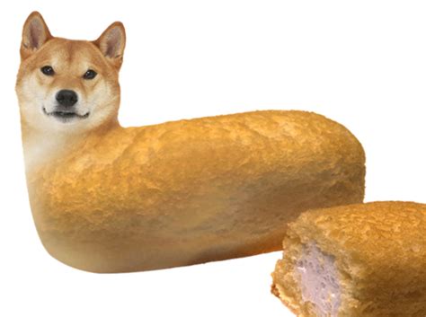 Image 605001 Doge Know Your Meme