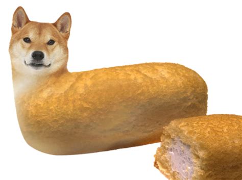 We did not find results for: Download Meme Doge Backgrounds | PNG & GIF BASE