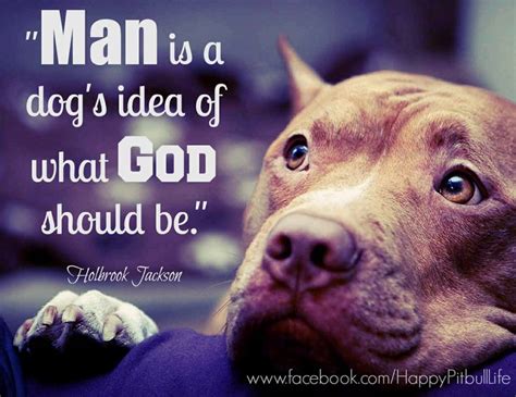 Quotes About Pitbulls Dogs Quotesgram