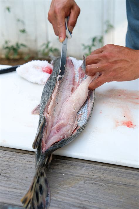 How To Fillet Gar — Elevated Wild