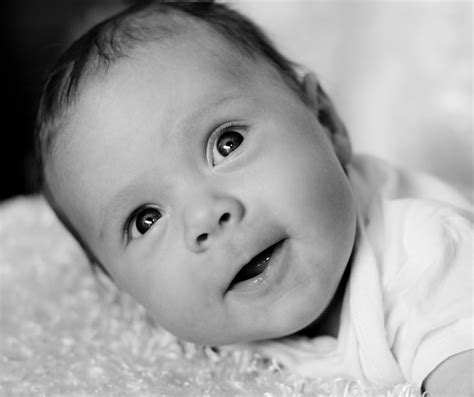 2 Month Old Baby Boy Portrait Baby Pictures Baby Photos Baby Boy