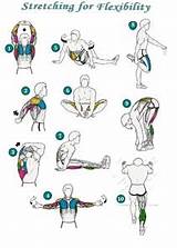 Photos of Stretching Exercises