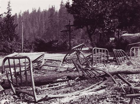 Jun 10, 2021 · a forest fire in new brunswick measuring more than 30 hectares in size has been contained and no longer poses a risk to the public. Vancouver Island's Great Forest Fire of August 1938 - TW ...