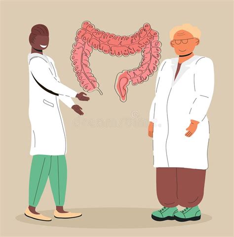 Gastroenterologists Research Intestine Gastritis Stomach Ulcer Illustration Intestine