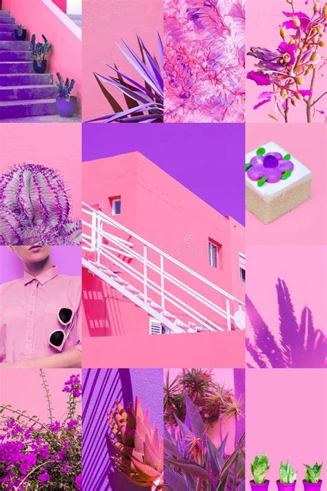 Set Of Trendy Aesthetic Photo Collages Minimalistic Images Of Top