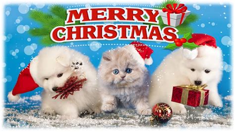 We wanted to create something that had a timeless feel, so развернуть. Christmas Kitten and Puppy Surprise - Kids Opening ...