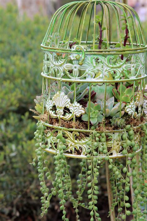 Hanging Bird Cage Planter Images