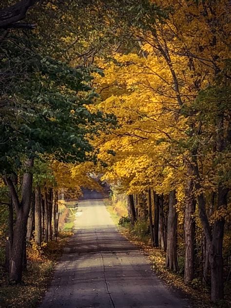 Free Images Country Roads Fall Colors Natural Landscape Nature