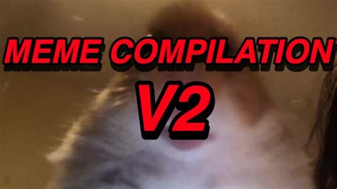 Hamster Facetime Meme Compilation Youtube