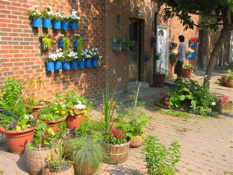 Container Garden Toronto Canada This Sidewalk And Wall G Flickr