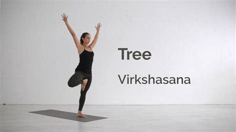 Tree Pose Vrikshasana Tutorial Youtube