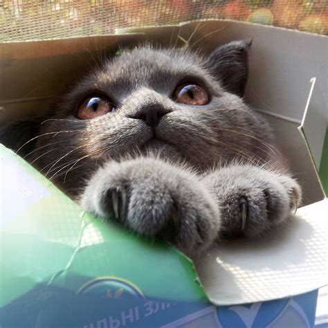 Check spelling or type a new query. Cool and Funny Backgrounds ·① WallpaperTag