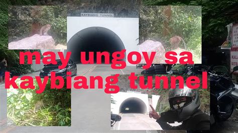 May Mga Unggoy Makita Sa Kaybiang Tunnel Youtube