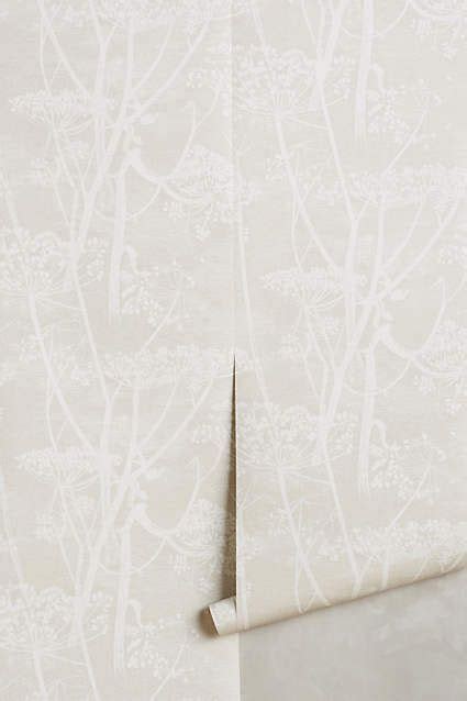 Queen Annes Lace Wallpaper Lace Wallpaper Lace Wall Stencil Pearl
