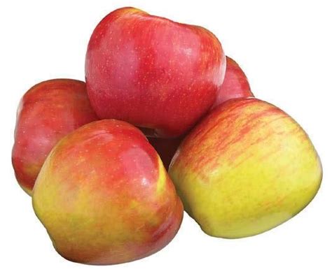 Organic Honeycrisp Apples | Honeycrisp apples, H-e-b, Shopping list grocery