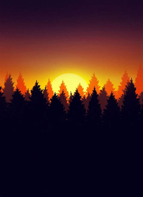 840x1160 Forest Silhouette Early Morning Dawn Wallpaper Phone