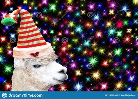 Funny Christmas Animal Card A Llama Wearing A Christmas Elf Hat