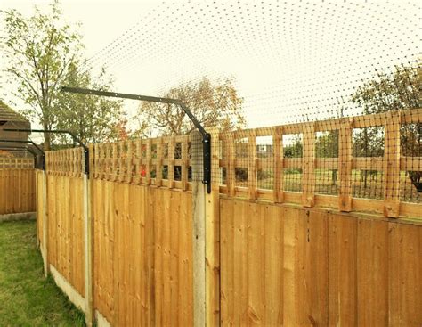 Agile Breed Cat Fencing Cat Fence And Catio Specialists Sanctuary Sos