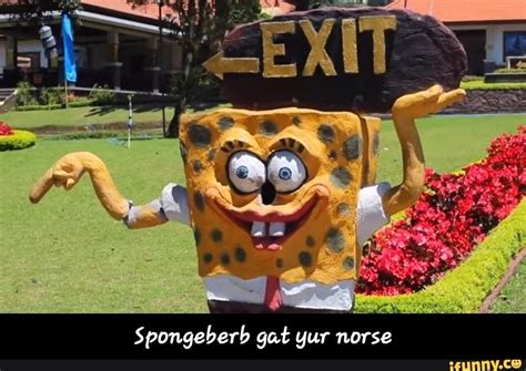 Spongeberb Gat Gur Nurse Spongeberb Gat Yur Norse Popular Memes On