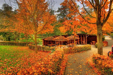 1080p Free Download Autumn Park Fall Autumn Fores Falling Bonito
