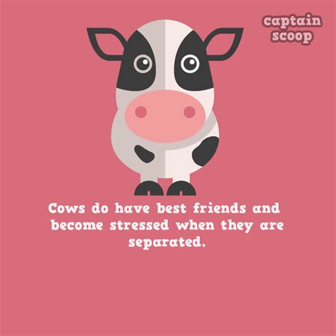 Enjoy our wide range of fun animal facts for kids. Your Early Morning - Fun Fact Friday! | OFM