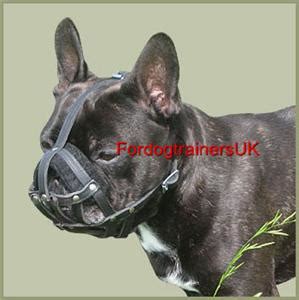 S, m , l , xl. New leather dog muzzle for French Bulldog, light dog ...