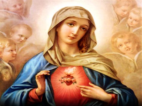 Today S Mass The Immaculate Heart Of Mary Purity Beyond Comprehension