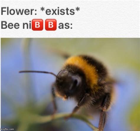 Image Tagged In Memesfunnyflowerexistsbeesbugs Imgflip