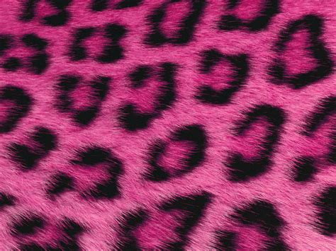 Pink Fur Wallpaper Wallpapersafari